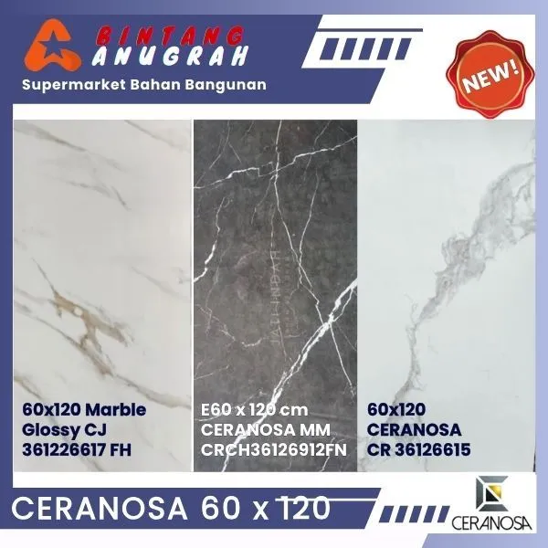 CERANOSA Granite Tile 60x120