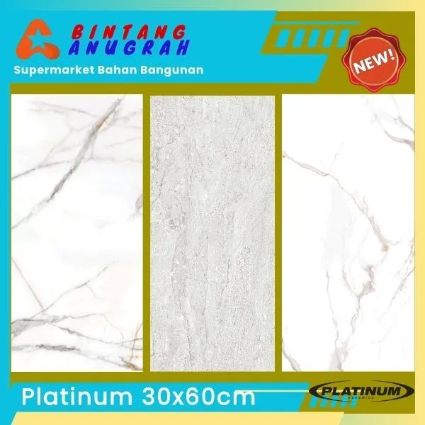 Keramik Platinum 30x60cm