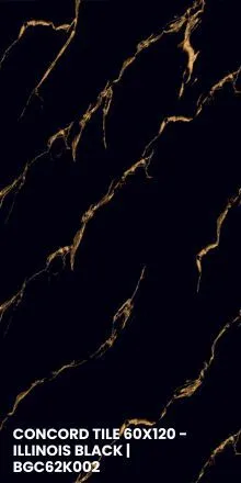 CONCORD TILE 60X120 - ILLINOIS BLACK | BGC62K002