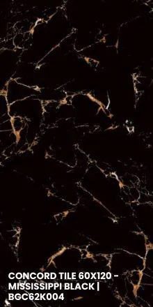 CONCORD TILE 60X120 - MISSISSIPPI BLACK | BGC62K004