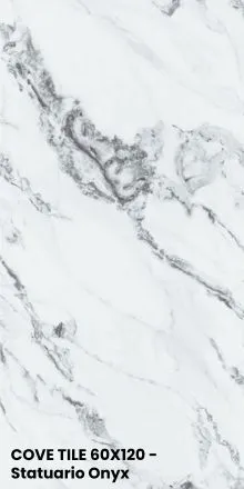 COVE TILE 60X120 - Panda Bianco Marble