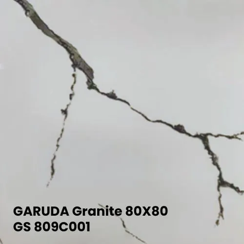 GARUDA Granite 80X80 - GS 809C001