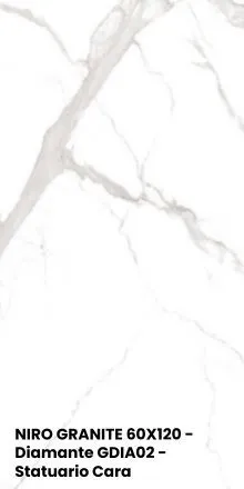NIRO GRANITE 60X120 - Diamante GDIA02 - Statuario Cara