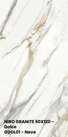 NIRO GRANITE 60X120 - Dolce GDOL01 - Neve