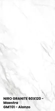 NIRO GRANITE 60X120 - Maestra GMT01 - Alonzo