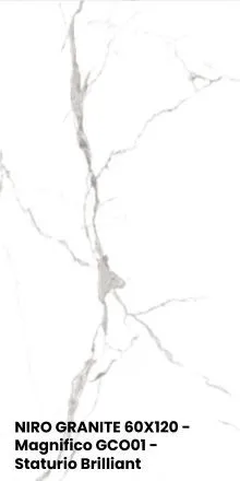 NIRO GRANITE 60X120 - Magnifico GCO01 - Staturio Brilliant