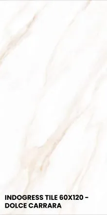 INDOGRESS TILE 60X120 - DOLCE CARRARA