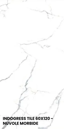 INDOGRESS TILE 60X120 - NUVOLE MORBIDE