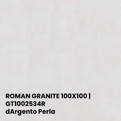 ROMAN GRANITE 100X100 | GT1002534R dArgento Perla