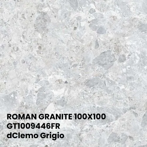 ROMAN GRANITE 100X100 | GT1009446FR dClemo Grigio