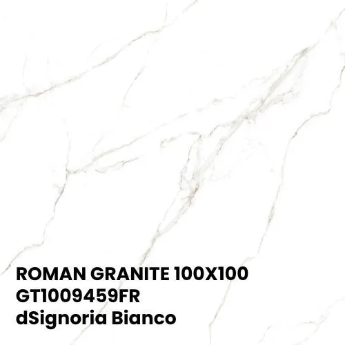 ROMAN GRANITE 100X100 | GT1009459FR dSignoria Bianco