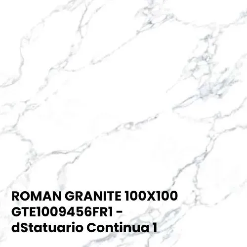 ROMAN GRANITE 100X100 | GTE1009456FR1 - dStatuario Continua 1