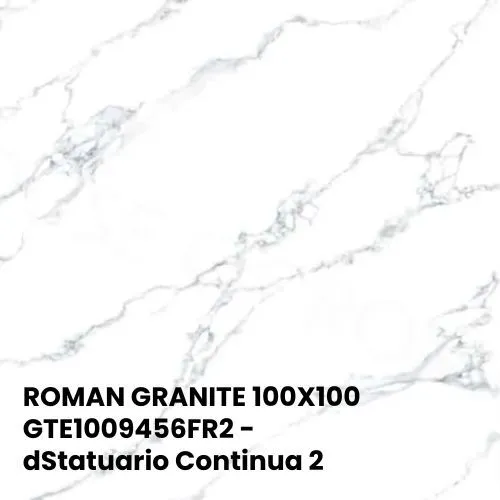ROMAN GRANITE 100X100 | GTE1009456FR2 - dStatuario Continua 2