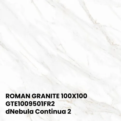 ROMAN GRANITE 100X100 | GTE1009501FR2 dNebula Continua 2