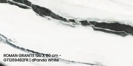 ROMAN GRANITE 120 X 60 cm - GT1269482FR | dPanda White