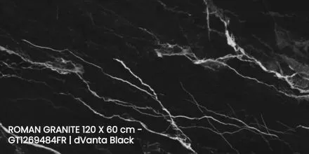 ROMAN GRANITE 120 X 60 cm - GT1269484FR | dVanta Black