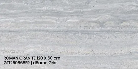 ROMAN GRANITE 120 X 60 cm - GT1269868FR | dBarco Gris